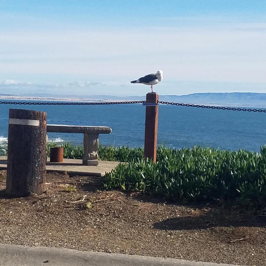 Shell Beach Inn Pismo Beach Eksteriør billede